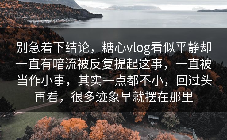 别急着下结论，糖心vlog看似平静却一直有暗流被反复提起这事，一直被当作小事，其实一点都不小，回过头再看，很多迹象早就摆在那里