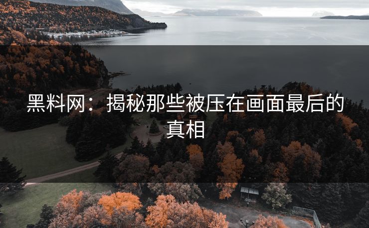 黑料网：揭秘那些被压在画面最后的真相