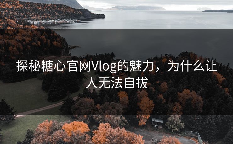 探秘糖心官网Vlog的魅力，为什么让人无法自拔