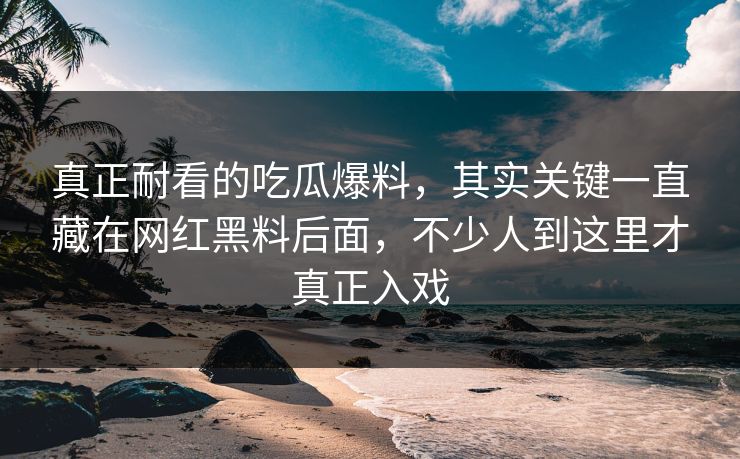 真正耐看的吃瓜爆料，其实关键一直藏在网红黑料后面，不少人到这里才真正入戏
