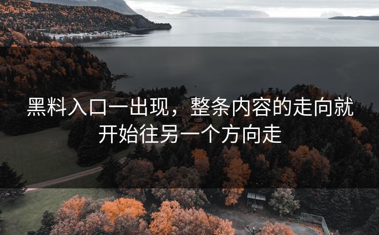 黑料入口一出现，整条内容的走向就开始往另一个方向走