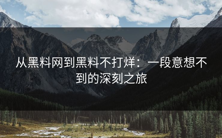 从黑料网到黑料不打烊：一段意想不到的深刻之旅