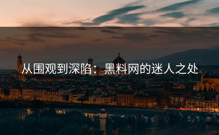 从围观到深陷:黑料网的迷人之处