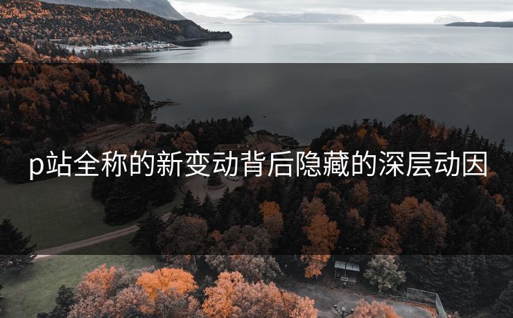 p站全称的新变动背后隐藏的深层动因 p站全称的新变动背后隐藏的深层动因